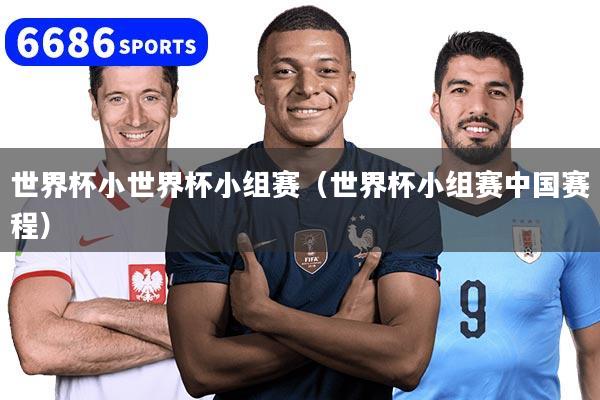 世界杯小世界杯小组赛（世界杯小组赛中国赛程）